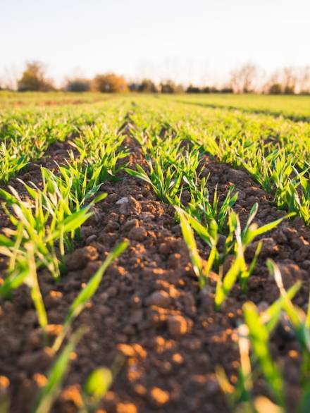 photo-1586771107445-d3ca888129ff